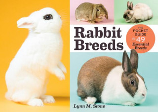 Libro Rabbit Breeds LYNN STONE