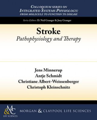 Knjiga Stroke Jens Minnerup