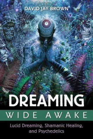 Kniha Dreaming Wide Awake David Brown J