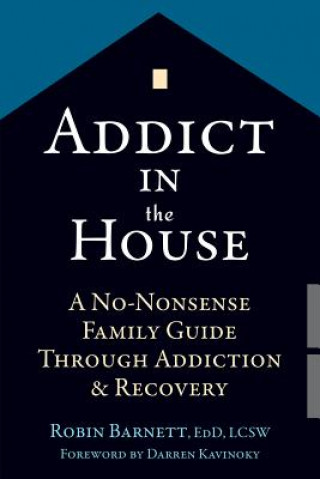 Kniha Addict in the House Robin Barnett