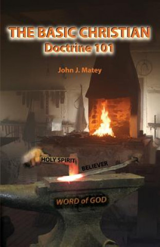Knjiga Basic Christian JOHN J. MATEY