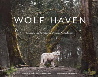 Buch Wolf Haven Brenda Peterson