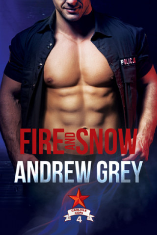 Libro Fire and Snow ANDREW GREY