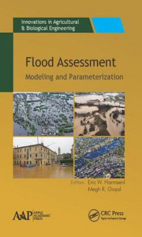 Book Flood Assessment Megh R Goyal
