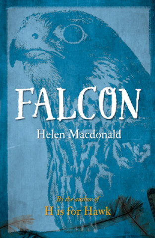 Könyv Falcon Helen Macdonald