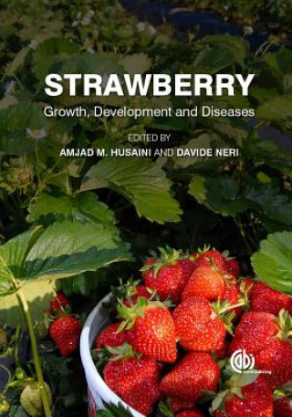 Книга Strawberry 