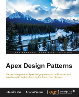 Könyv Apex Design Patterns Jitendra Zaa