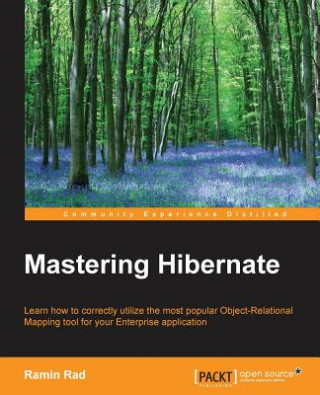 Kniha Mastering Hibernate Ramin Rad