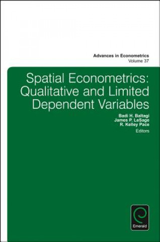 Kniha Spatial Econometrics R. Kelley Pace