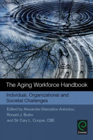 Knjiga Aging Workforce Handbook Alexander-Stamatios Antoniou