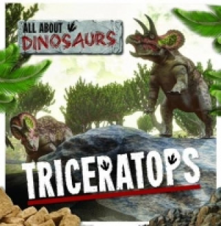Book Triceratops Amy Allatson