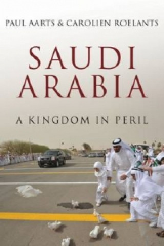 Carte Saudi Arabia Paul Aarts
