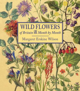 Kniha Wild Flowers of Britain Margaret Erskine Wilson