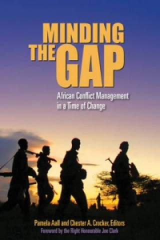 Knjiga Minding the Gap Pamela Aall