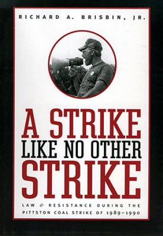 Książka Strike Like No Other Strike Richard A. Brisbin