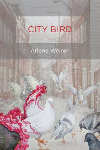 Könyv City Bird ARLENE WEINER