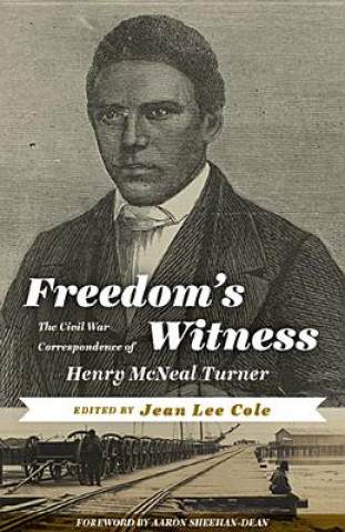 Könyv Freedom's Witness Henry McNeal Turner