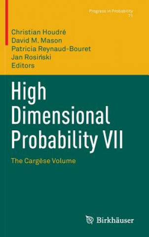 Könyv High Dimensional Probability VII Christian Houdré