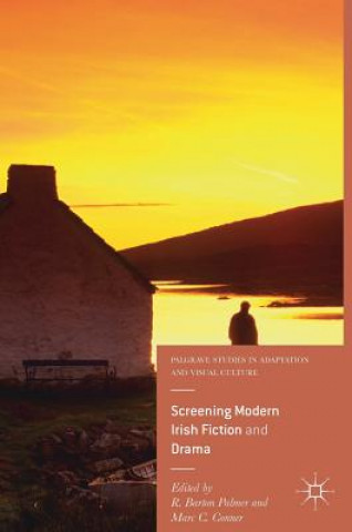 Kniha Screening Modern Irish Fiction and Drama R. Barton Palmer