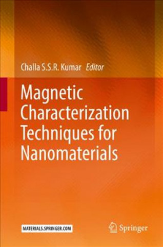 Kniha Magnetic Characterization Techniques for Nanomaterials Challa S. S. R. Kumar