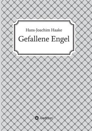 Buch Gefallene Engel Hans-Joachim Haake