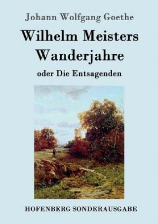 Buch Wilhelm Meisters Wanderjahre JOHANN WOLFGANG GOET