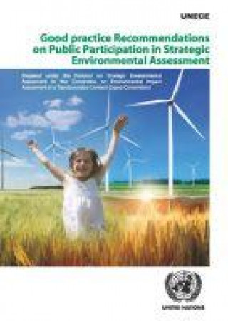 Kniha Good practice recommendations on public participation in strategic environmental assessment United Nations: Economic Commission for Europe