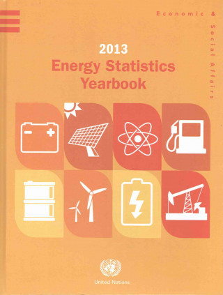 Könyv Energy statistics yearbook 2013 United Nations: Department of Economic and Social Affairs