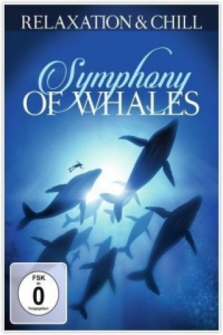 Video Symphony of Whales, 1 DVD Relaxation & Chill