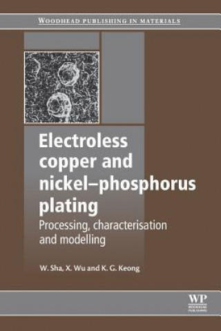 Kniha Electroless Copper and Nickel-Phosphorus Plating W Sha
