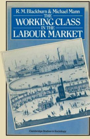 Книга The Working Class in the Labour Market R. M. Blackburn