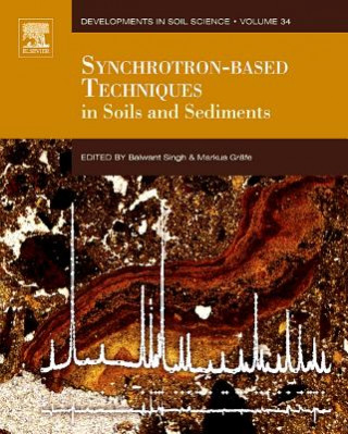 Könyv Synchrotron-Based Techniques in Soils and Sediments Balwant Singh