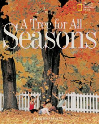 Carte Tree for All Seasons Robin Bernard