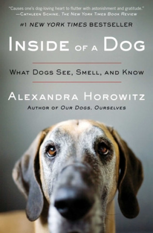 Könyv Inside of a Dog Alexandra Horowitz