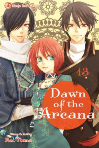 Carte Dawn of the Arcana, Vol. 13 Rei Toma