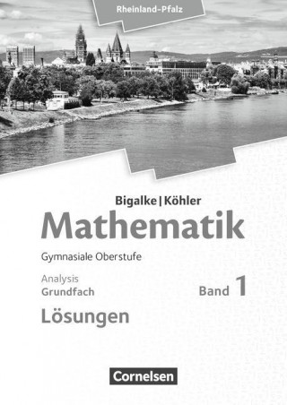 Buch Bigalke/Köhler: Mathematik - Rheinland-Pfalz - Grundfach Band 1 Anton Bigalke