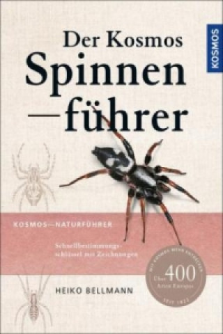 Könyv Der Kosmos Spinnenführer Heiko Bellmann