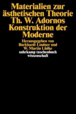 Carte Materialien zur ästhetischen Theorie. Theodor W. Adornos Konstruktion der Moderne W. Martin Lüdke
