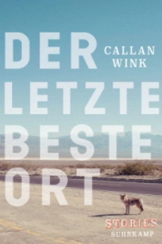 Book Der letzte beste Ort Callan Wink