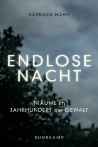 Kniha Endlose Nacht Barbara Hahn