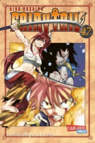 Kniha Fairy Tail. Bd.47 Hiro Mashima