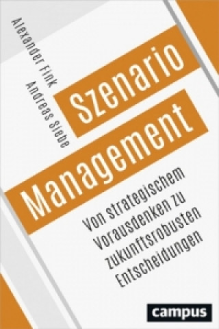 Könyv Szenario-Management Alexander Fink