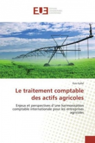 Kniha Le traitement comptable des actifs agricoles Kais Kallel