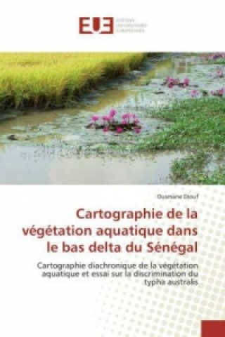 Carte Cartographie de la végétation aquatique dans le bas delta du Sénégal Ousmane Diouf