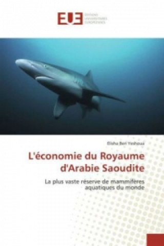 Kniha L'économie du Royaume d'Arabie Saoudite Elisha Ben Yeshoua