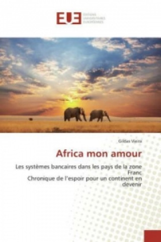 Buch Africa mon amour Gildas Vieira