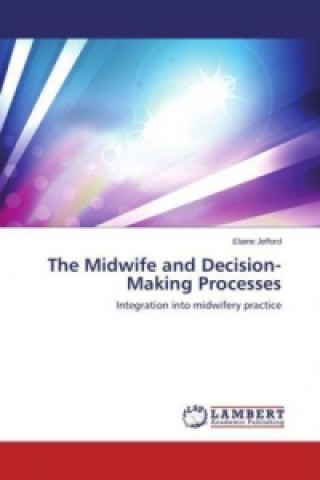 Kniha The Midwife and Decision-Making Processes Elaine Jefford