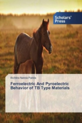 Könyv Ferroelectric And Pyroelectric Behavior of TB Type Materials Bichitra Nanda Parida