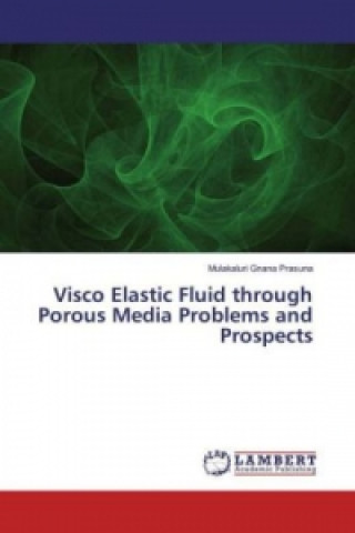 Libro Visco Elastic Fluid through Porous Media Problems and Prospects Mulakaluri Gnana Prasuna