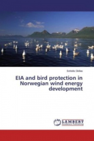 Könyv EIA and bird protection in Norwegian wind energy development Sofoklis Gkillas
